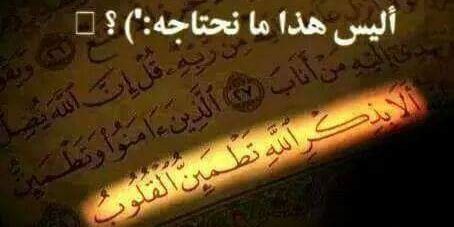 sameer_tareq's profile banner image