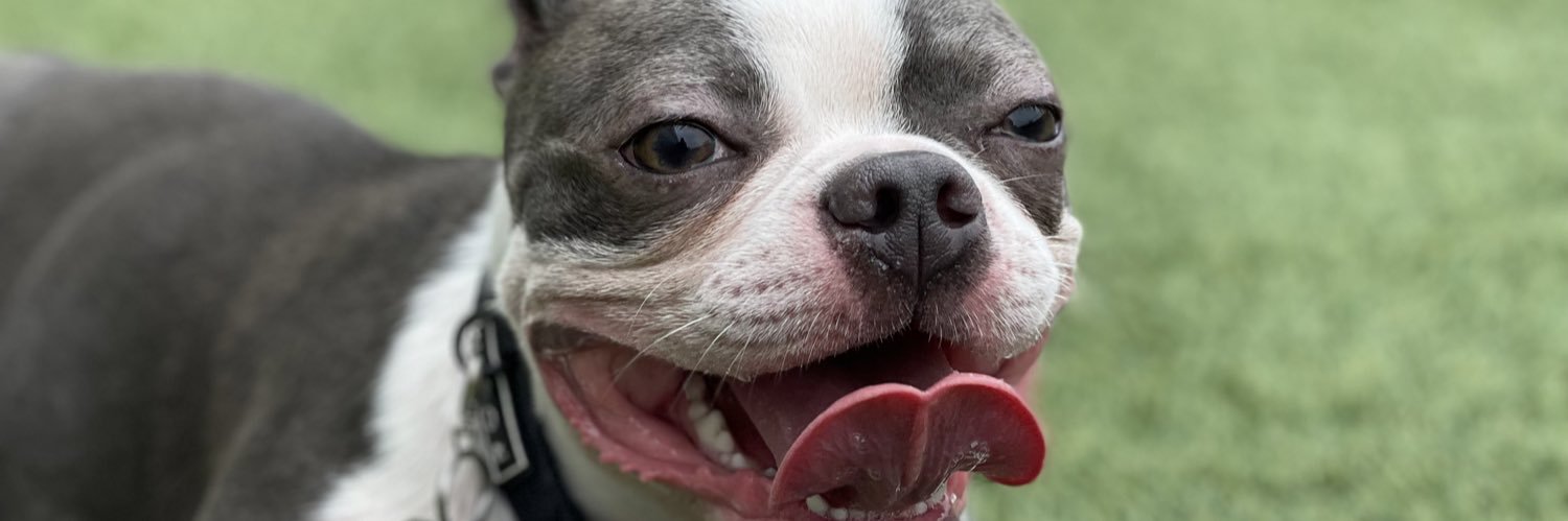 ur90sdog's profile banner image