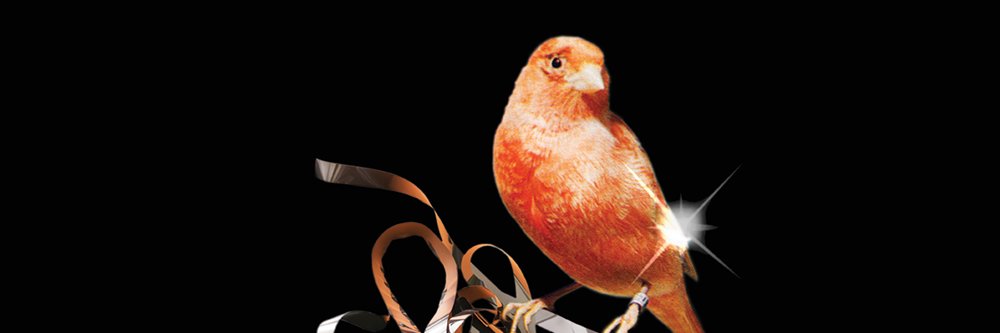Helen__Heath's profile banner image