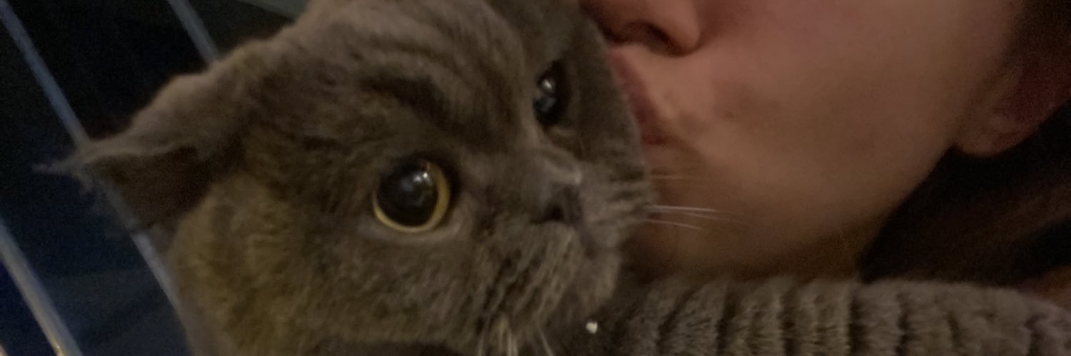 ceydainci_'s profile banner image
