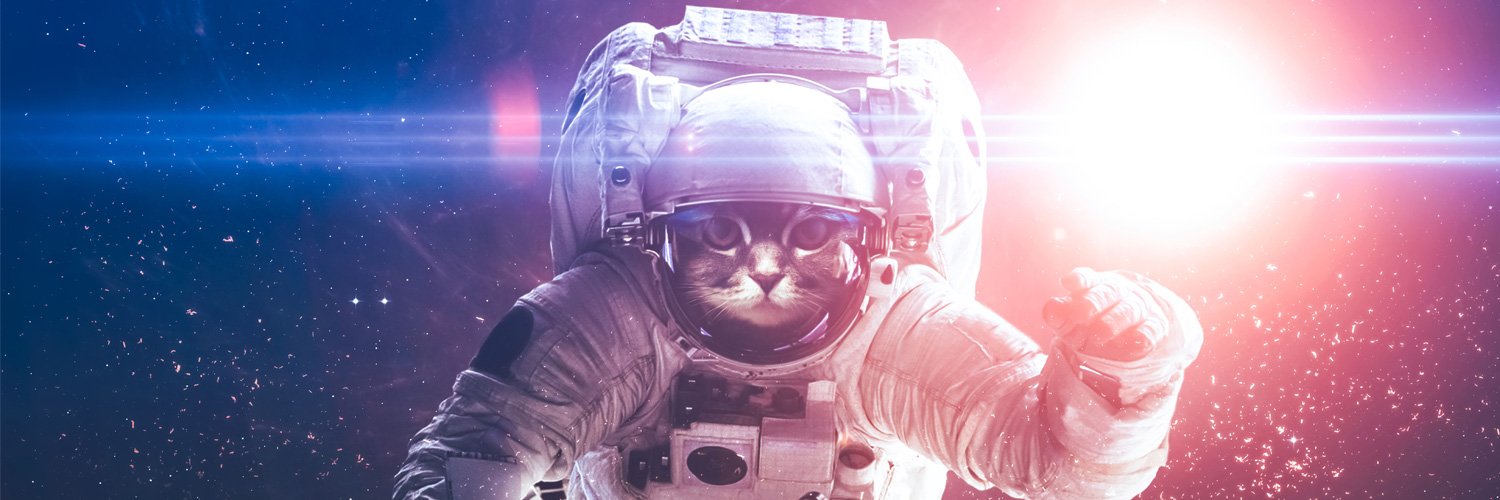 Megan Girdler banner