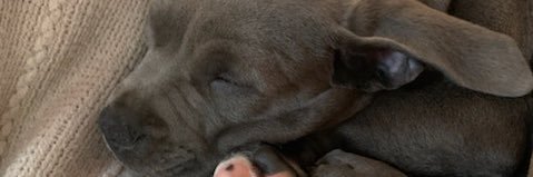 staceyiona's profile banner image