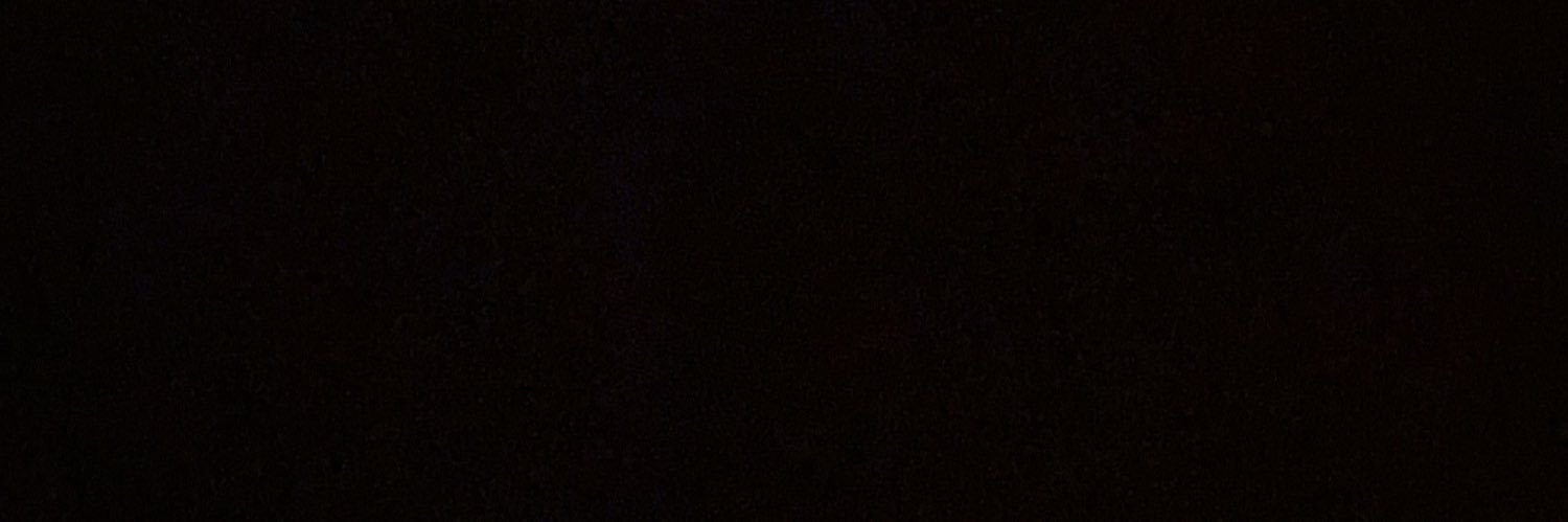 acebaselena's profile banner image