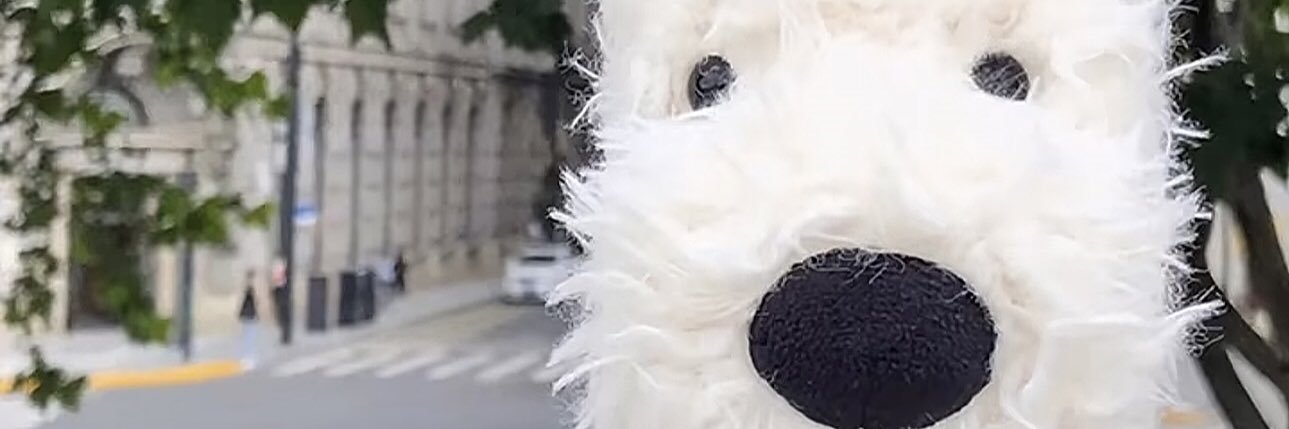Vicenmdows's profile banner image