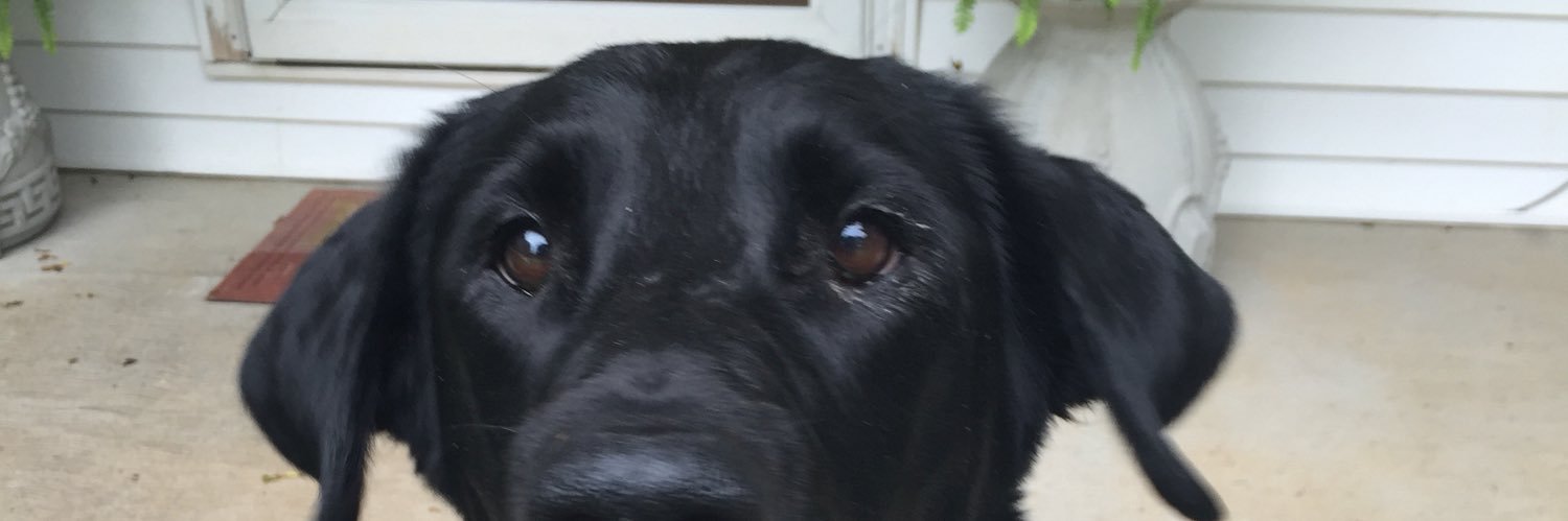 BeeThompson19's profile banner image