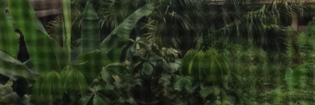 chigo_d's profile banner image
