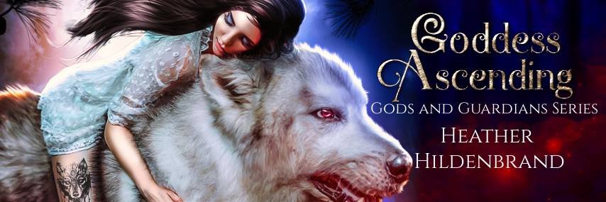 HeatherHildenbr's profile banner image