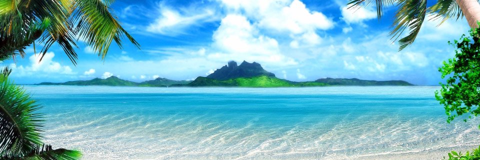 أ.د محمد البدوي banner