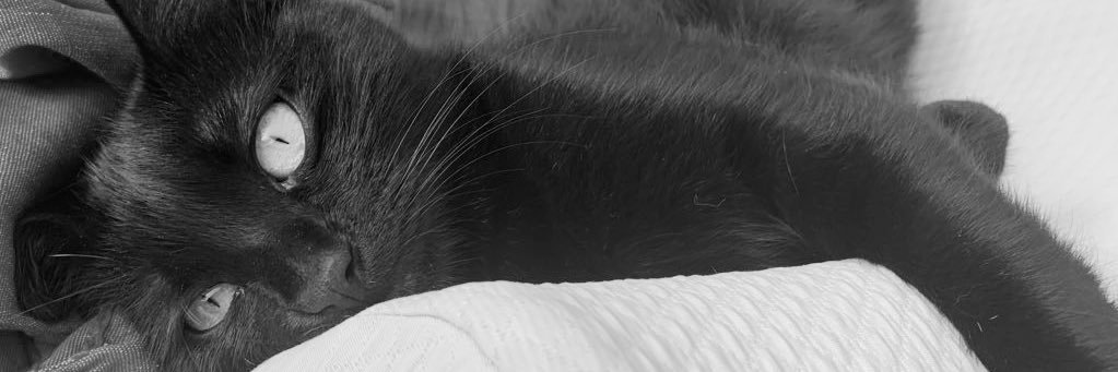 heslloyd's profile banner image