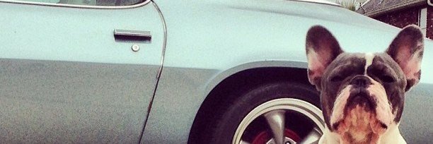 illylily's profile banner image
