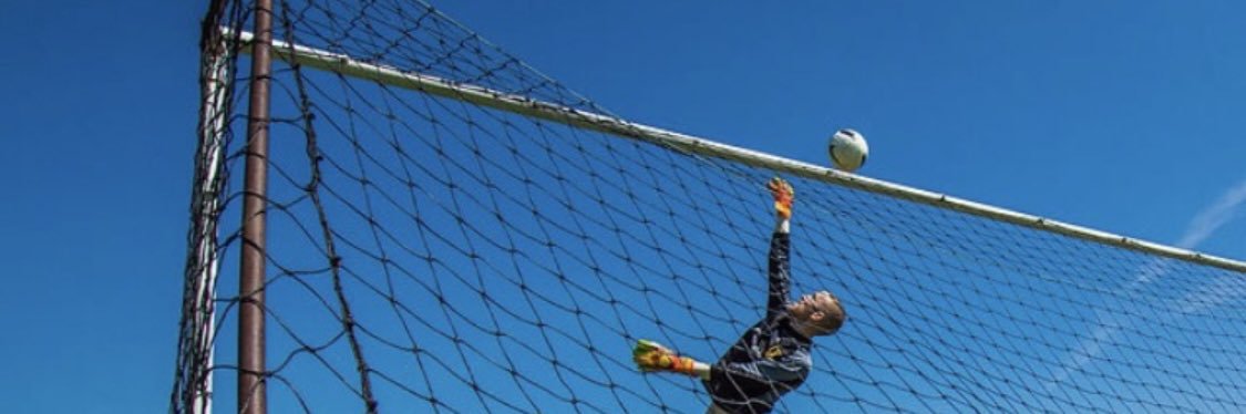 Michael Bundock banner