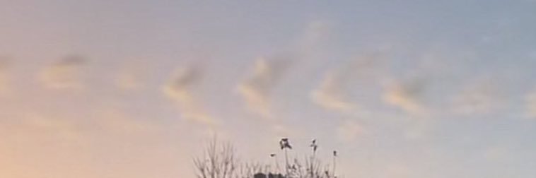 oohliz_'s profile banner image