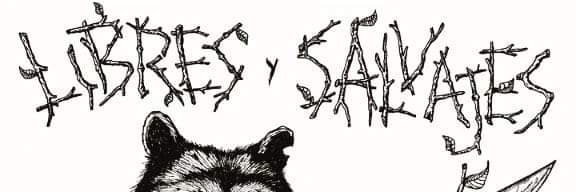 OjerasDiMapache's profile banner image