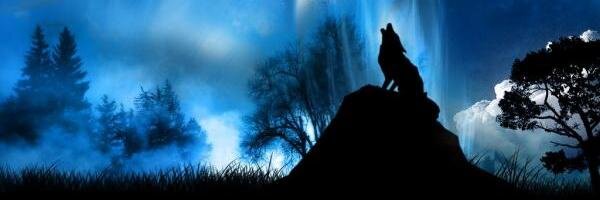 ani_mayorga's profile banner image