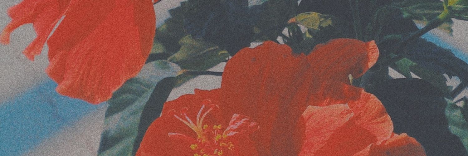 numnnum's profile banner image