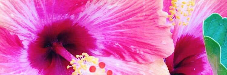 courtleighmua's profile banner image