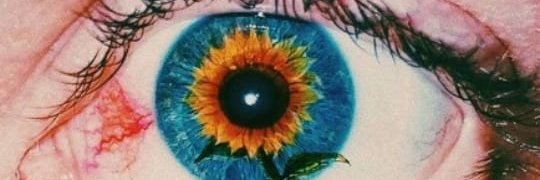 melinarotundo1's profile banner image