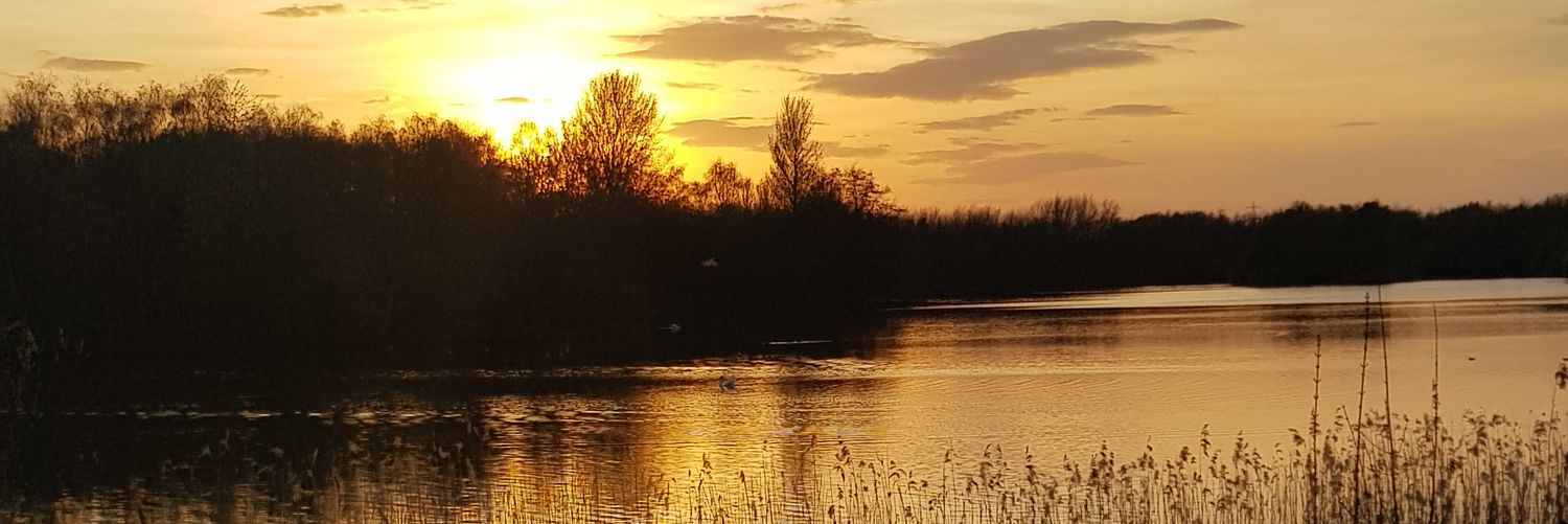freya_blaney's profile banner image