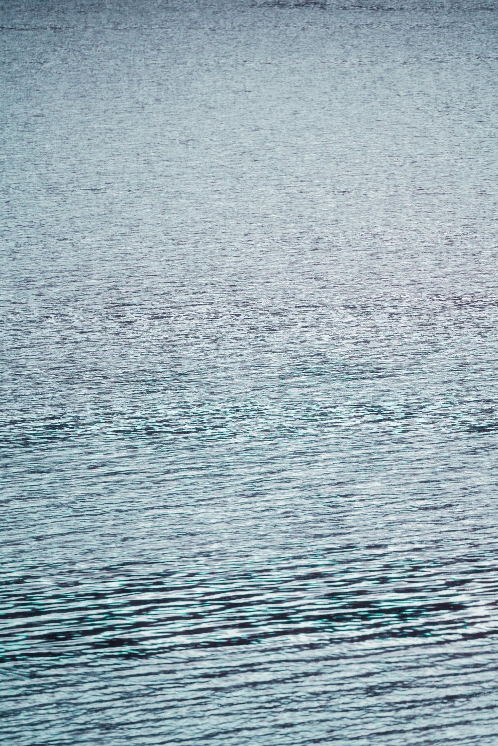 sofreak's profile banner image