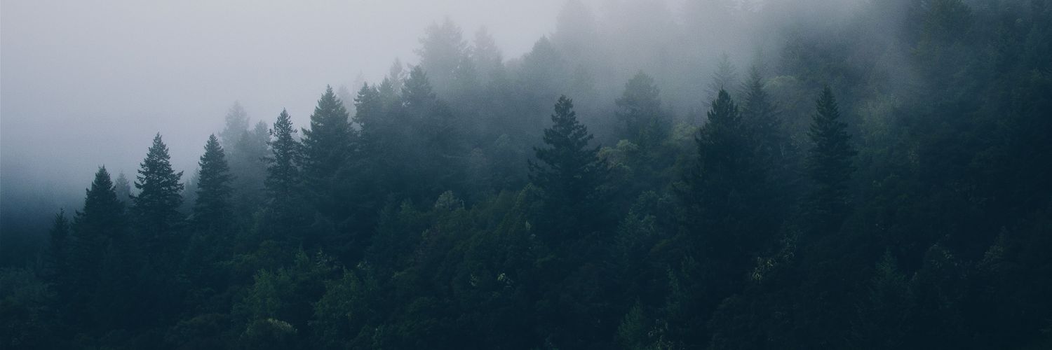 yefersonberrios's profile banner image