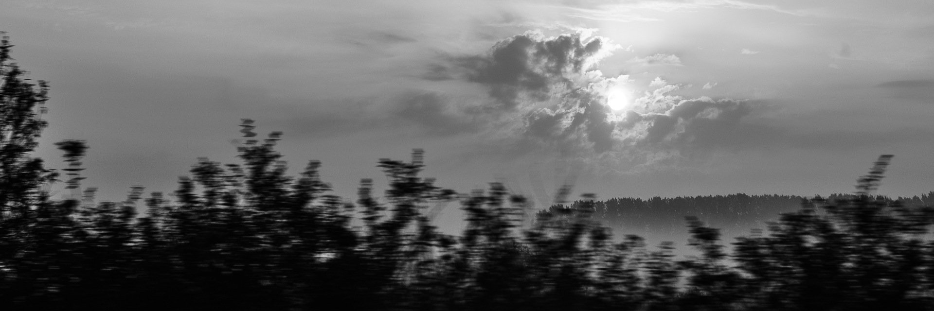 daligraphy's profile banner image