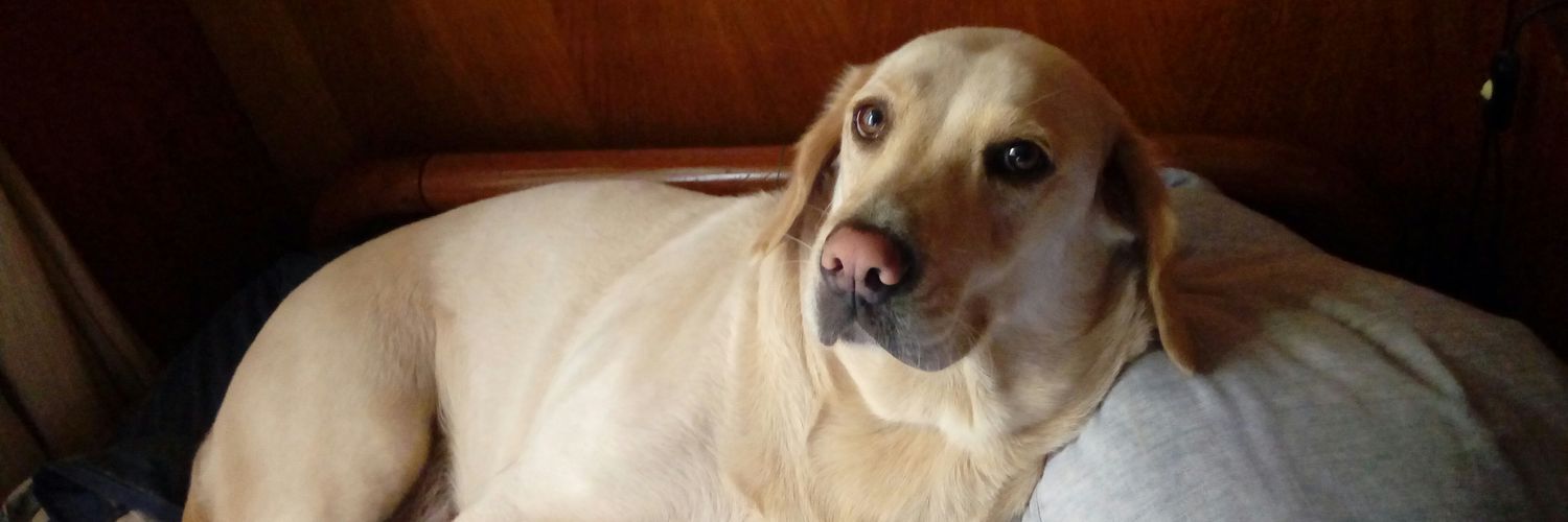 d_covenas's profile banner image