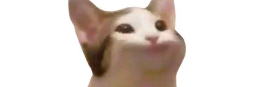 apelmanisssss's profile banner image