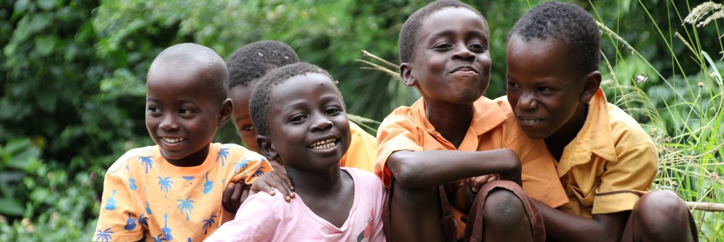 Self-Help International banner