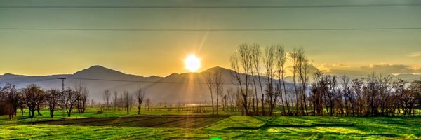 CSU_VP_EXT Profile Banner