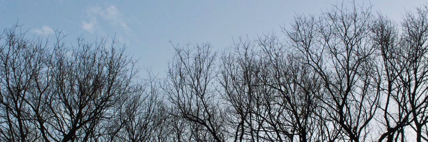 rumi___2's profile banner image
