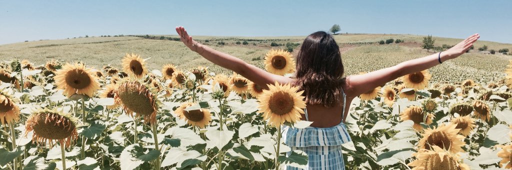 Ckurum's profile banner image