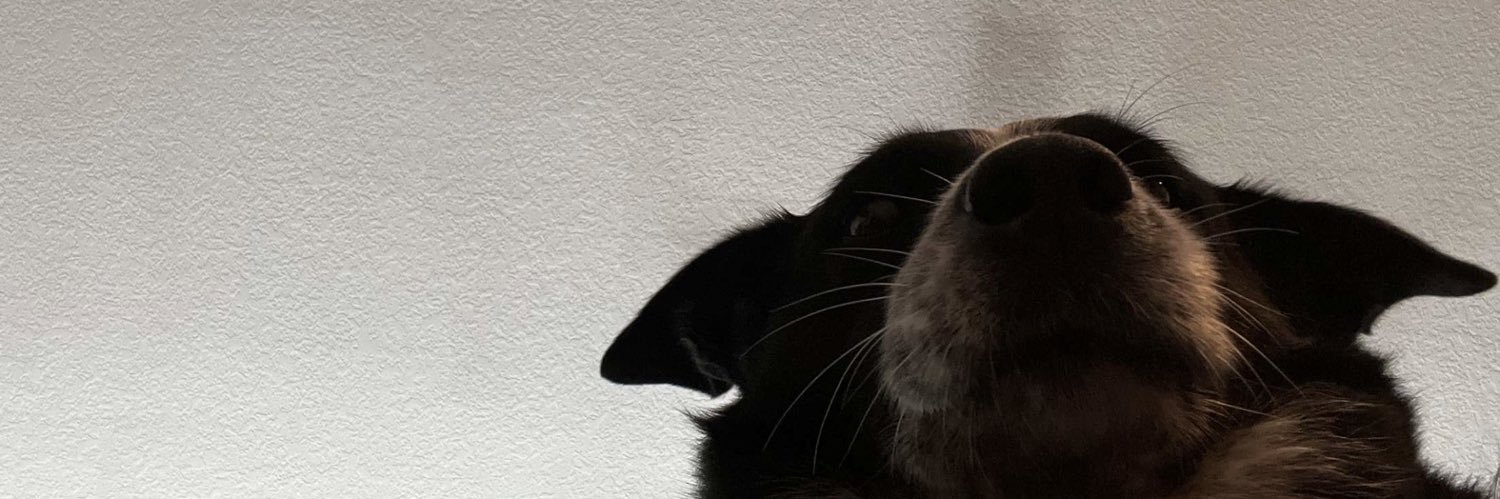 shebegrace's profile banner image