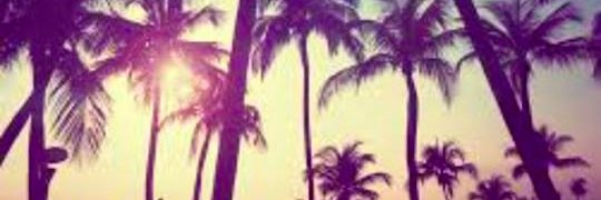 Mellenieexx's profile banner image