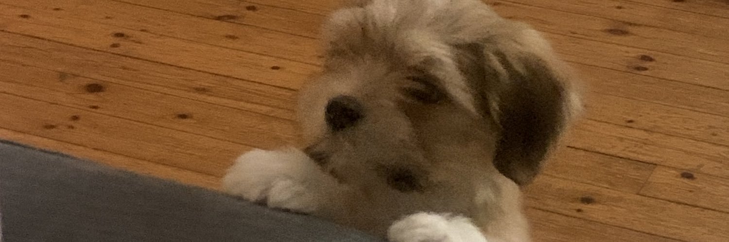 bhenchy1's profile banner image