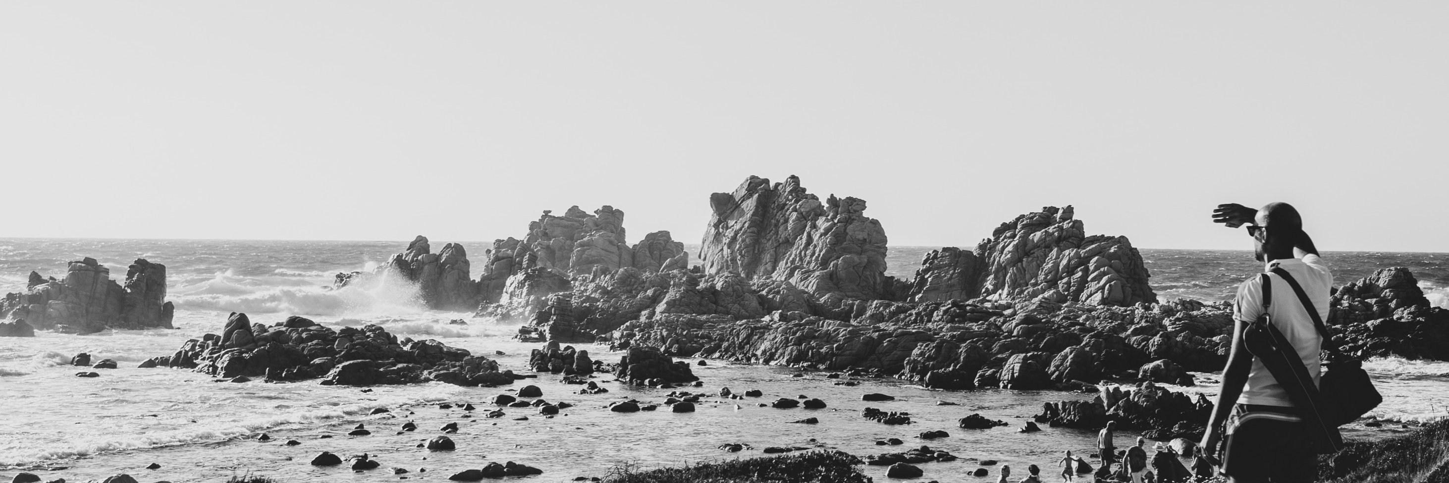 leodamico77's profile banner image