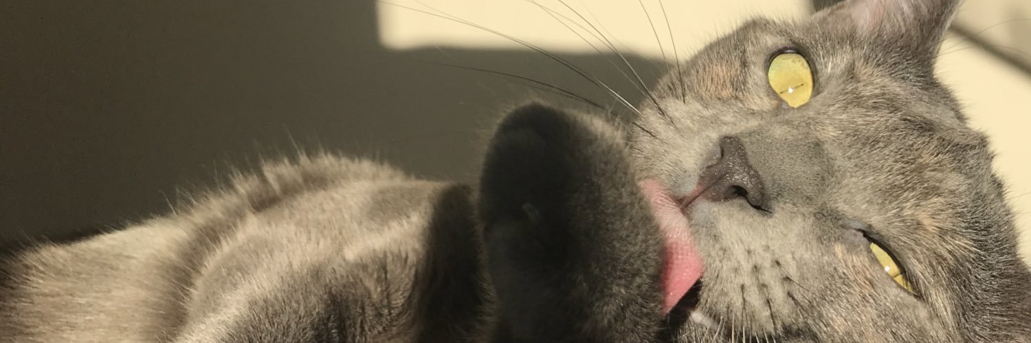 Elif Dalkılıç banner