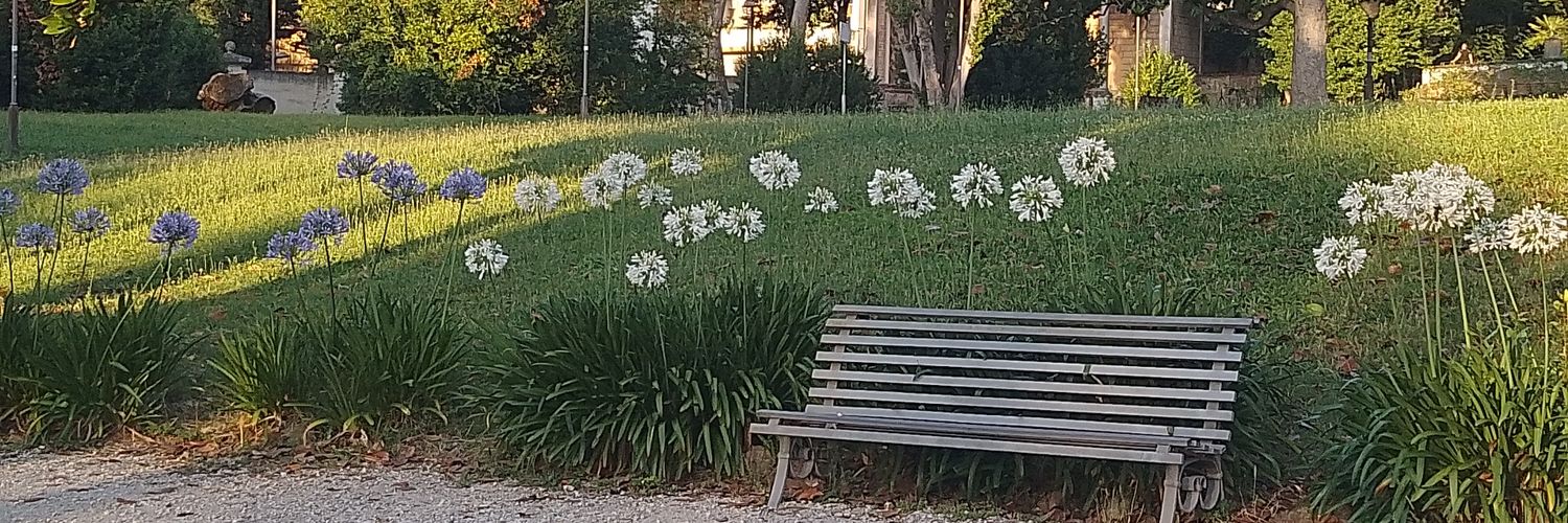 Roberta Calvano banner