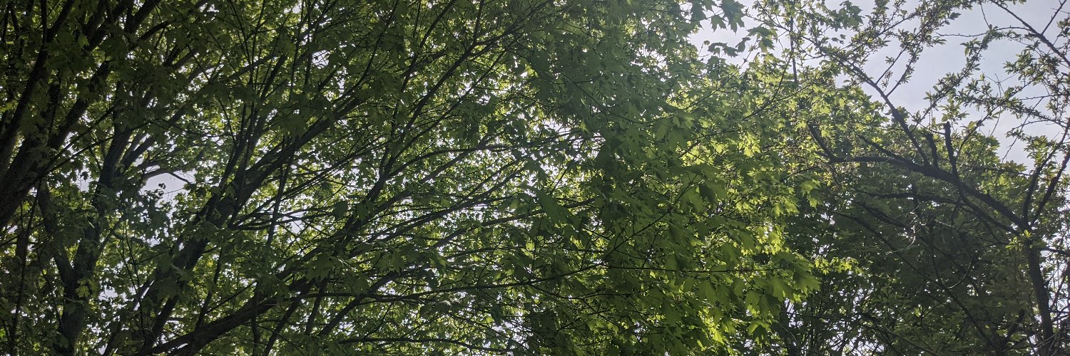 KJonesEdu's profile banner image