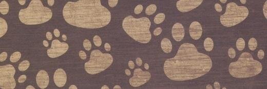 LassieACadela's profile banner image