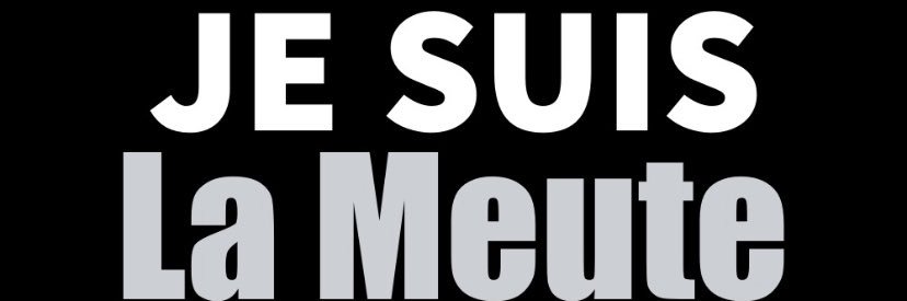 la souris déglinguée 🐢🐢🐢 banner