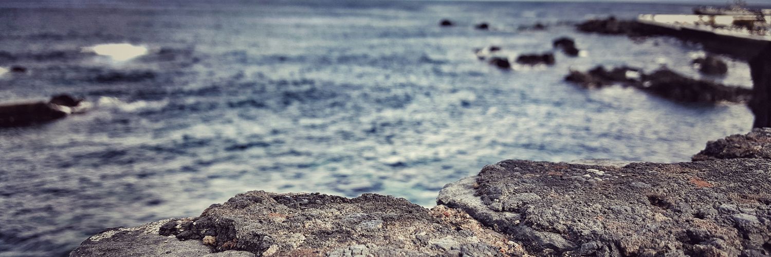 gracesadler79's profile banner image