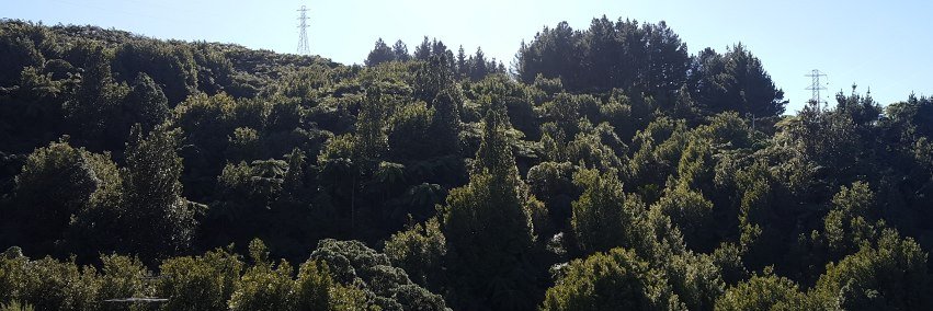 Andrew Ruthven banner