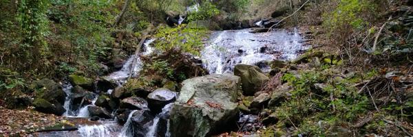 SQLZelda Profile Banner