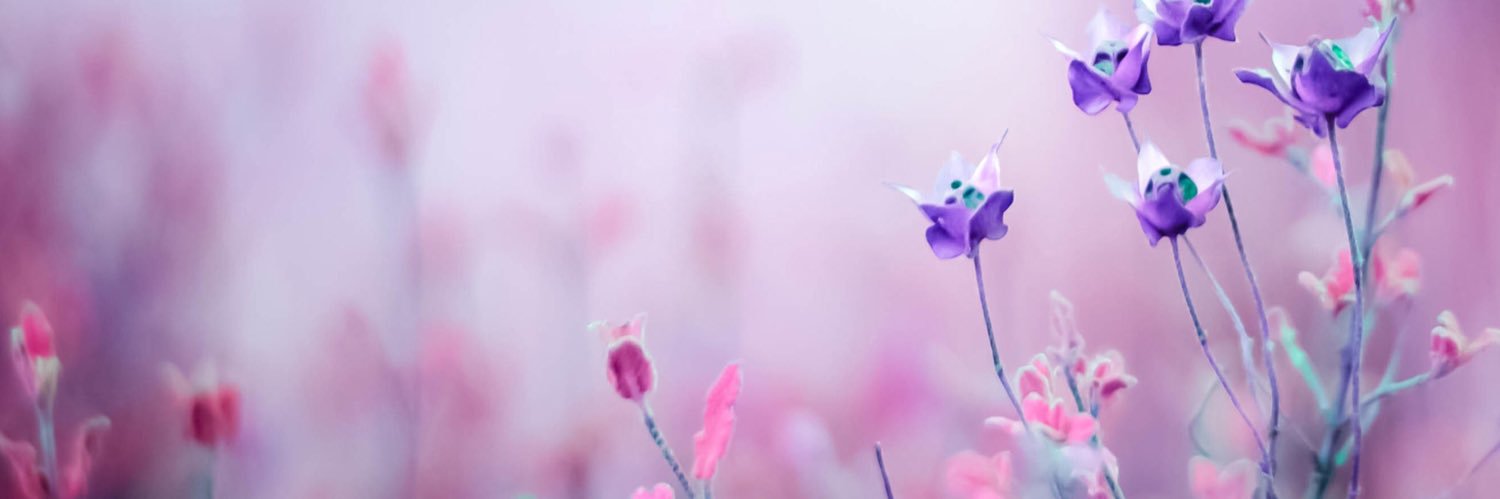 mdree683's profile banner image