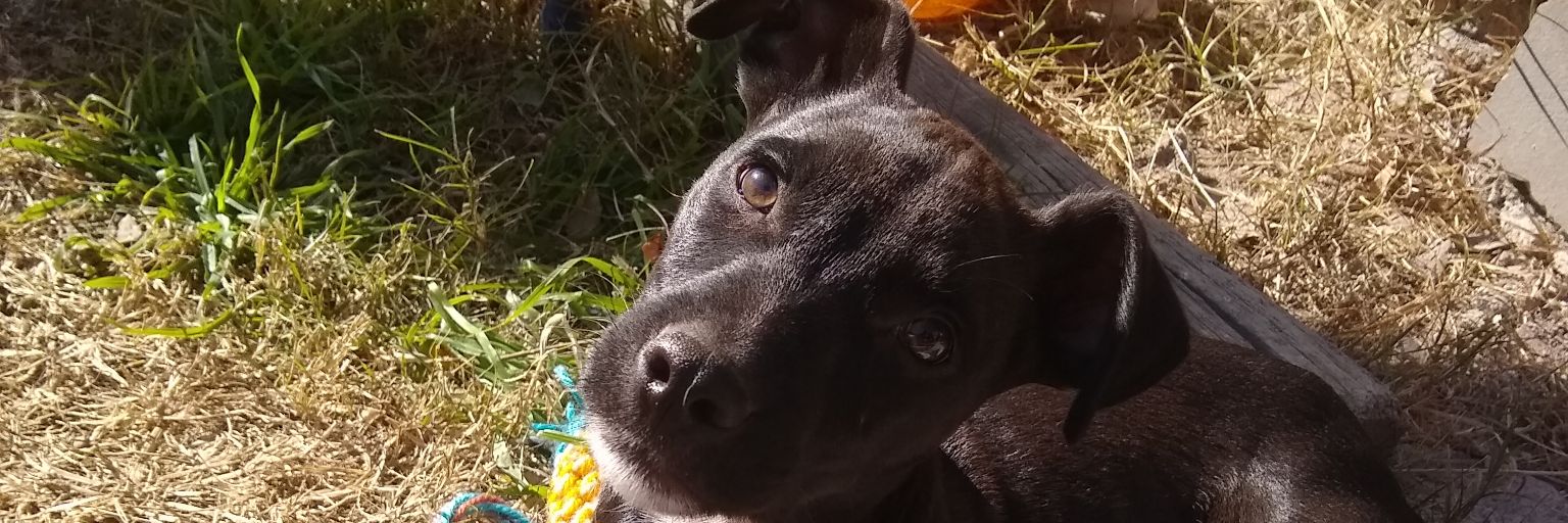 Quimysindoni1's profile banner image