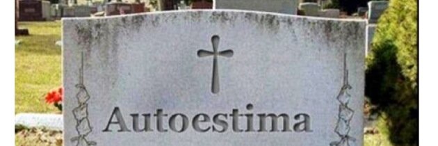 DolidosSTY's profile banner image