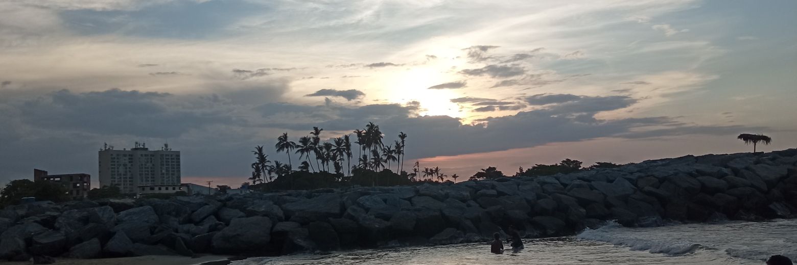 mgoyoque's profile banner image