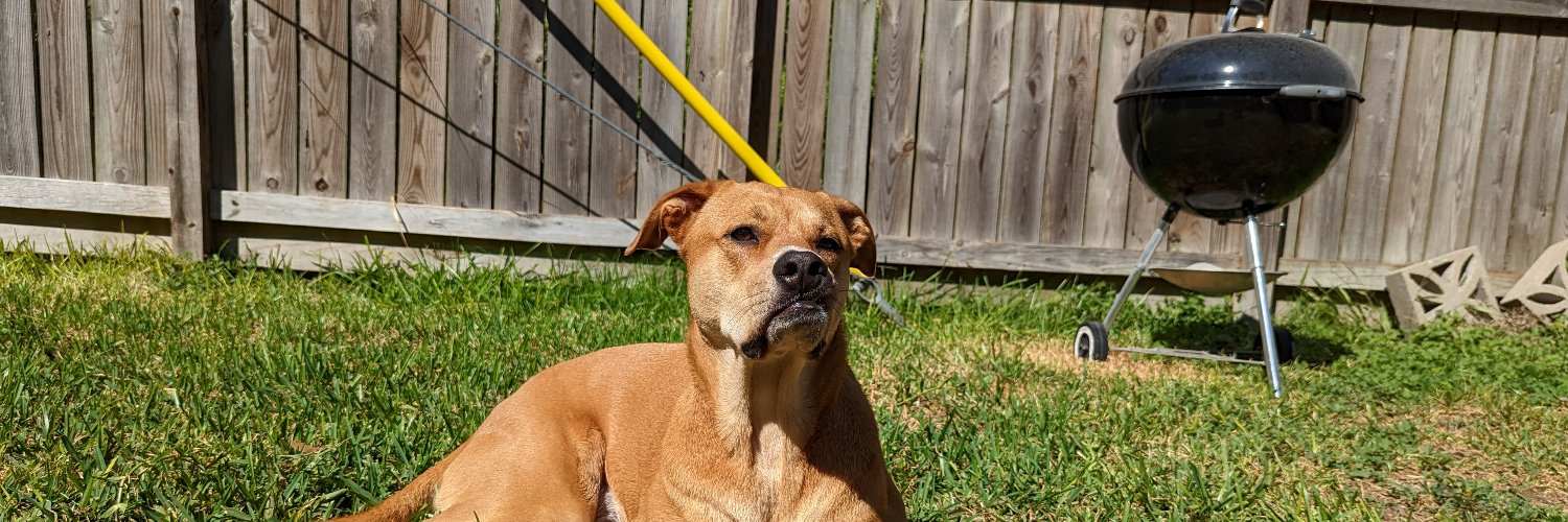 Robert Watson banner