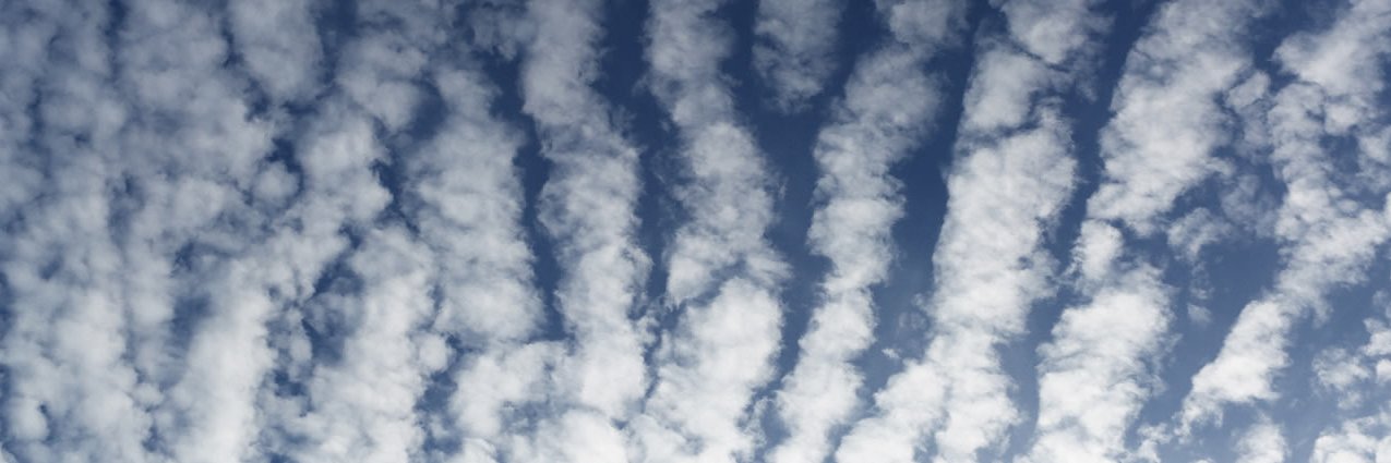 רברס עם פלטפורמה banner