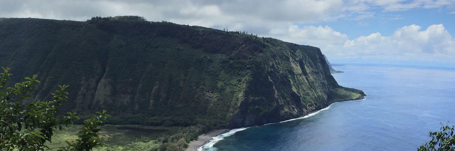 Chris Orr-Van Abbema banner